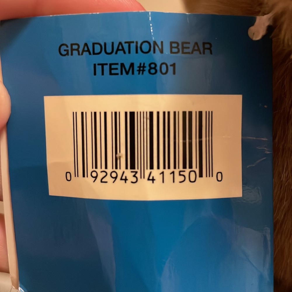 Graduation Bear - Picture 2 of 2